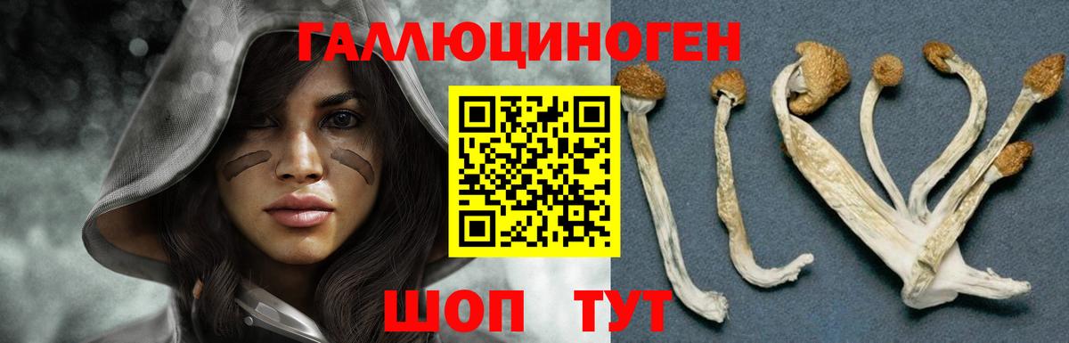 Галлюциногенные грибы мухоморы  Псилоцибиновые грибы Cubensis  Чита  Вход с VPN 