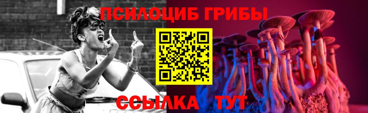 Галлюциногенные грибы Cubensis Чита